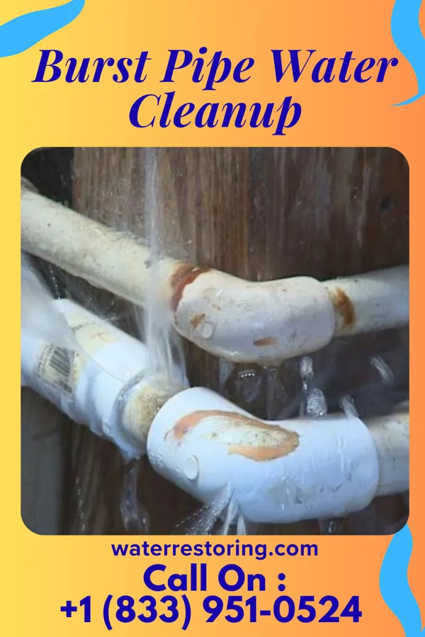 Burst Pipe Water Cleanup in Andersonville, OH