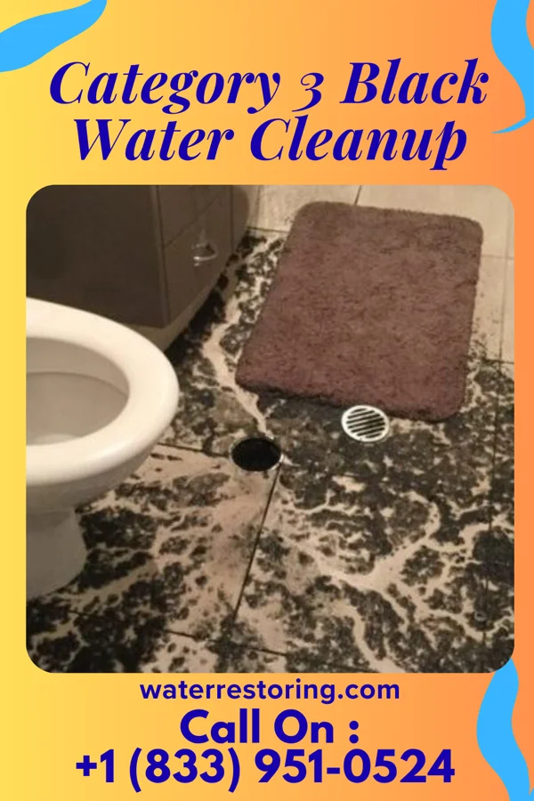 Category 3 Black Water Cleanup in Andersonville, OH