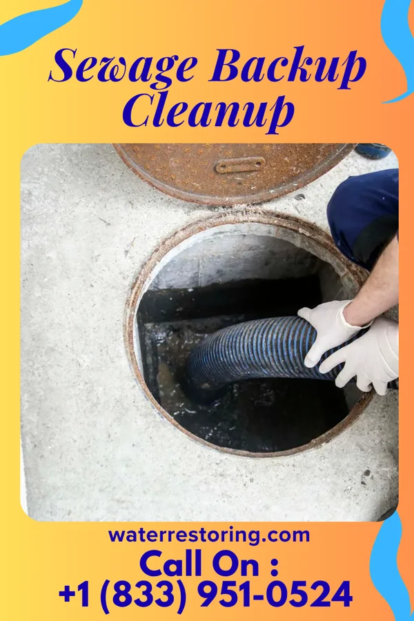 Sewage Backup Cleanup in Andersonville, OH