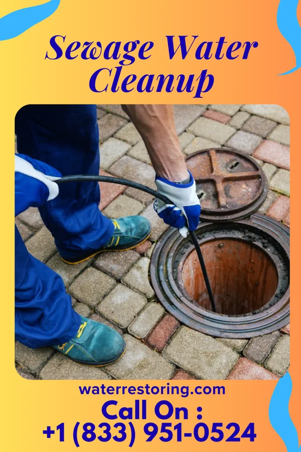 Sewage Water Cleanup in Andersonville, OH
