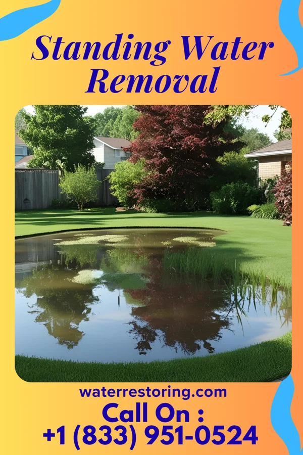 Standing Water Removal in Andersonville, OH
